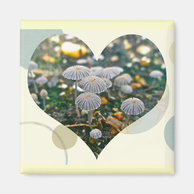 Imán Mushroom Garden Heart Magnet (Frente)