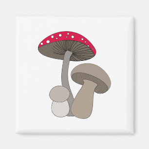 Imán Mushrooms Magnet