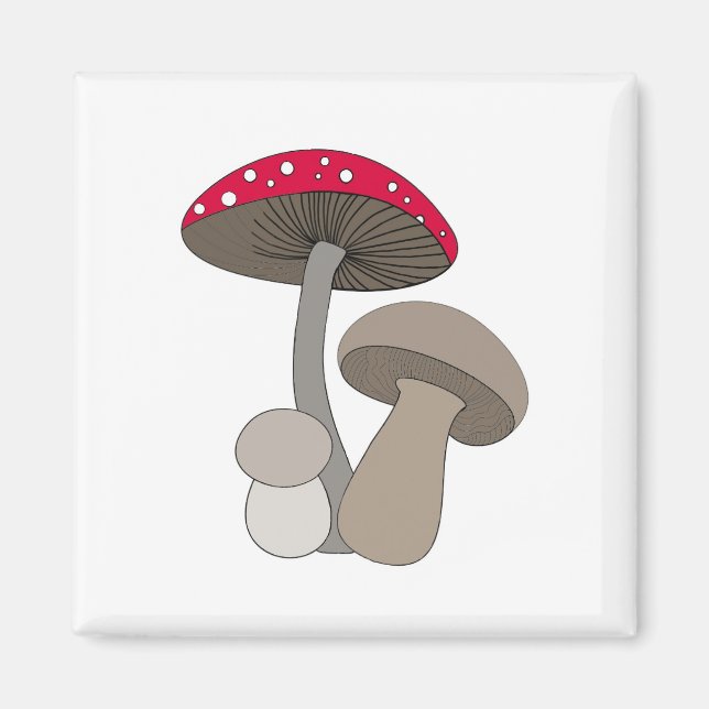 Imán Mushrooms Magnet (Frente)