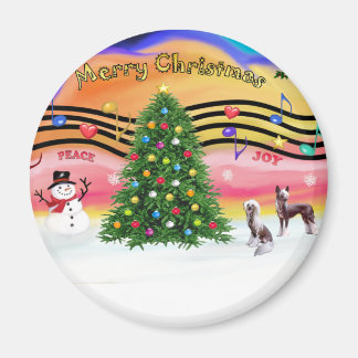 Imán Música de navidades 2 - Crested chino (2 HL)