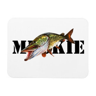 Imán Muskie