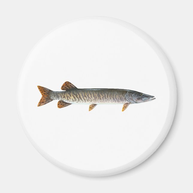 Imán Musky - Muskellunge (Frente)
