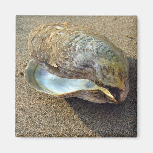 Imán Mussel Seashell Sand Beach Magnet
