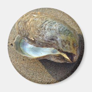 Imán Mussel Seashell Sand Beach Magnet