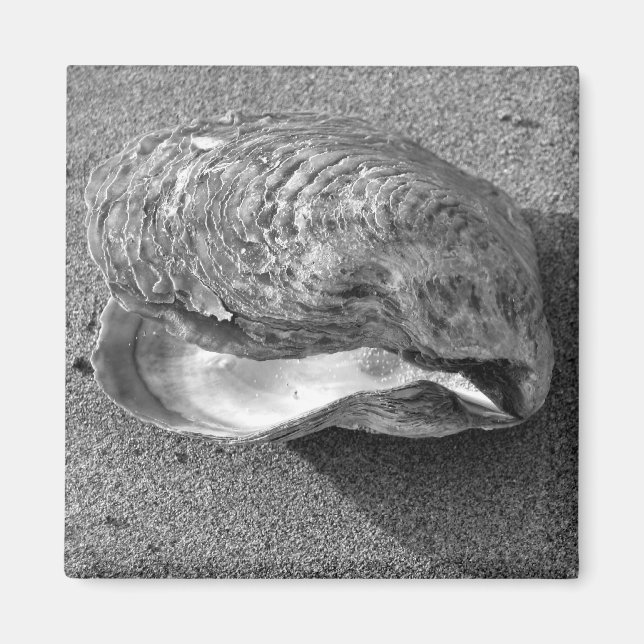 Imán Mussel Seashell Sand Beach Magnet (Frente)