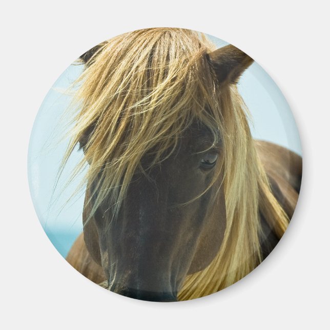 Imán Mustang Magnet (Frente)