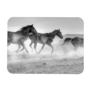 Imán Mustang Run