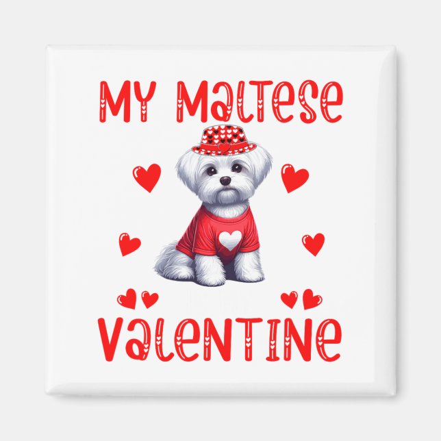 Imán My Maltese Is My Valentine Hearts Costume Single O (Frente)