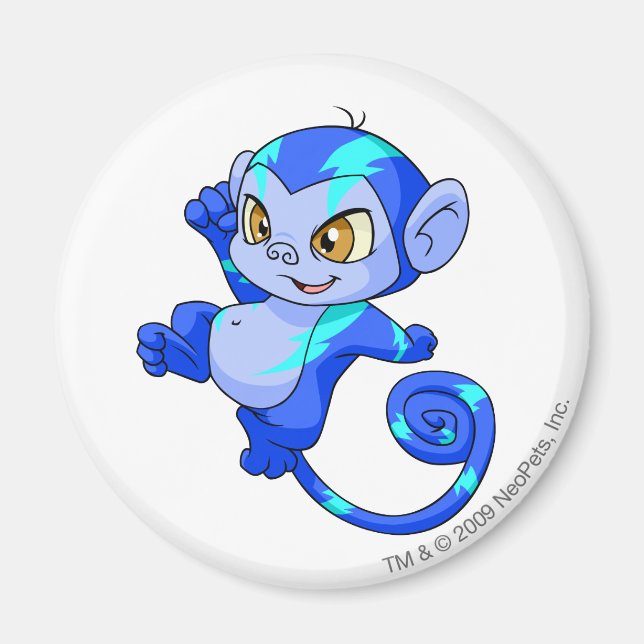 Imán Mynci Electric (Frente)