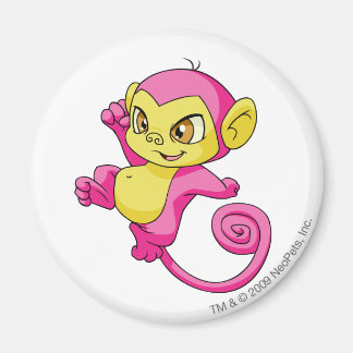 Imán Mynci Pink