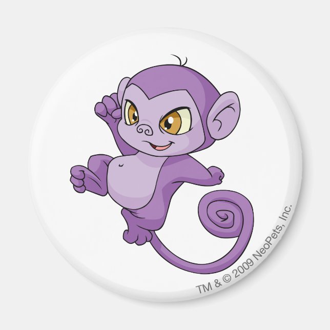 Imán Mynci Purple (Frente)