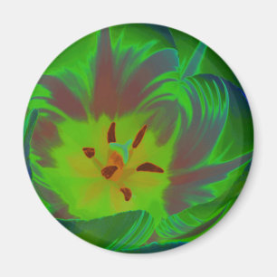 Imán Mystic Green Tulip Magnet