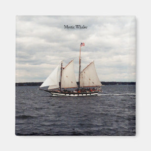 Imán Mystic Whaler imnet