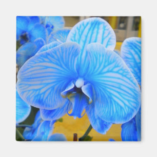 Imán Mystique Azul Orquídea