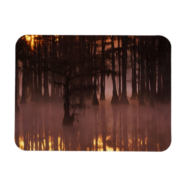 Imán N.A., EE.UU., Georgia, Parque Estatal George Smith (Horizontal)