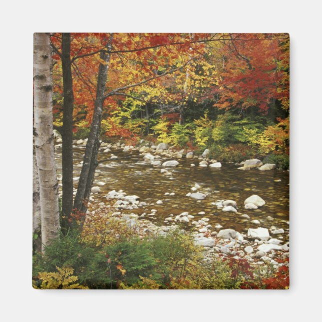 Imán N.A., EE.UU., New Hampshire, White Mountains, (Frente)