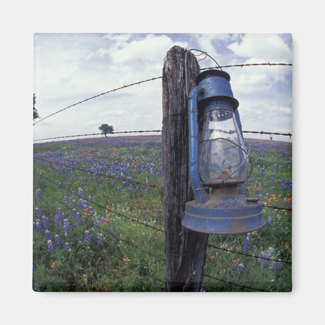 Imán N.A., EE. UU., Texas, Llano, Linterna Azul, Roble (Frente)