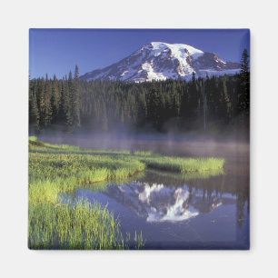 Imán N.A., EE. UU., Washington, Mt. Rainier Nacional 5