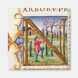 Imán 'N' inicial historiada