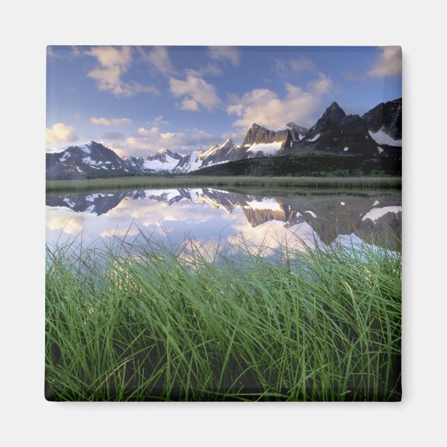 Imán NA, Canadá, Alberta, Tonquin Valley. Jasper (Frente)