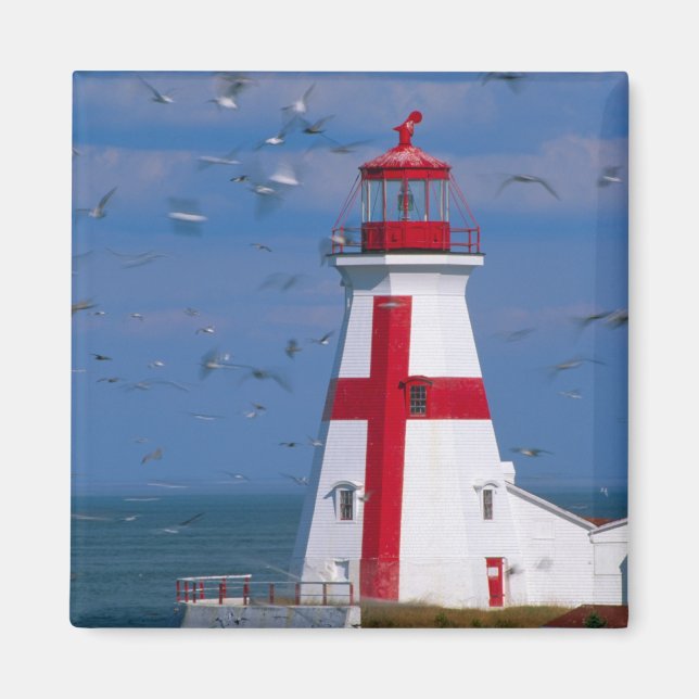 Imán NA, Canadá, Nuevo Brunswick, Isla Campobello. 8 (Frente)