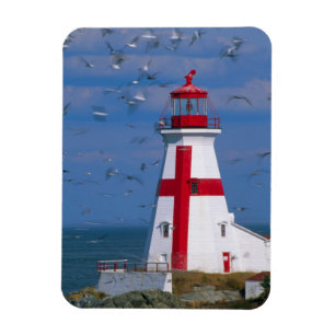 Imán NA, Canadá, Nuevo Brunswick, Isla Campobello. 8