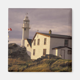 Imán NA, Canadá, Terranova, Lobster Cove. Langosta