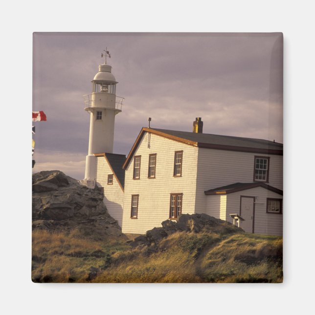 Imán NA, Canadá, Terranova, Lobster Cove. Langosta (Frente)
