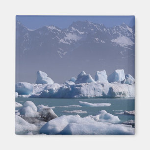 Imán NA, EE. UU., Alaska, Cordillera de San Elías, río