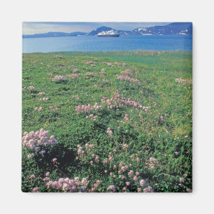 Imán NA, EE. UU., Alaska, Isla Aleutiana, Escénico con