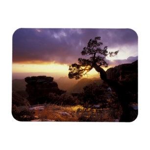 Imán NA, EE.UU., Arizona, Tucson, Sunset y solitario
