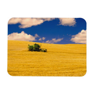 Imán NA, EE.UU., Estado de Washington, región de Palou