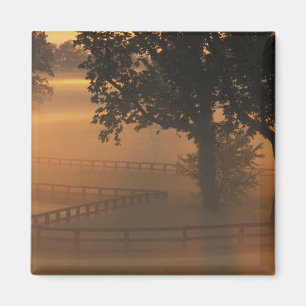 Imán NA, EE. UU., Kentucky. Amanecer brumoso en Kentuck