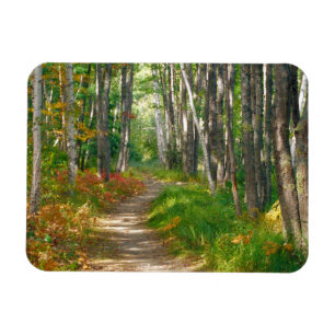 Imán NA, EE. UU., Maine.  Sendero Jessup en Acadia Nati