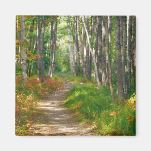 Imán NA, EE. UU., Maine.  Sendero Jessup en Acadia Nati