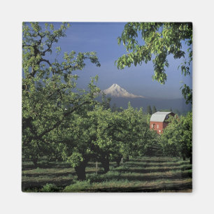 Imán NA, EE. UU., Oregón, cerca de Hood River Mt. Hood 