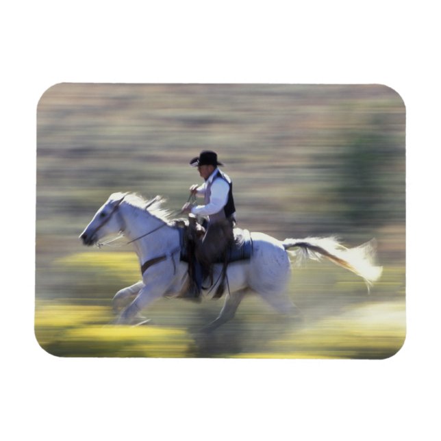 Imán NA, EE. UU., Oregón, Seneca, Ponderosa Ranch, Vaqu (Horizontal)