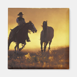 Imán NA, EE. UU., Oregón, Seneca, Ponderosa Ranch, Vaqu