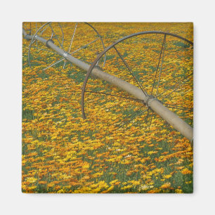 Imán NA, EE.UU., Oregón. Sistema de riego en el campo 