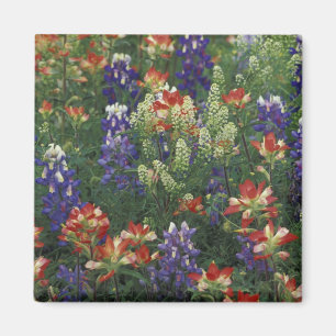 Imán NA, EE.UU., Texas, cerca de Cataratas de Mármol, 