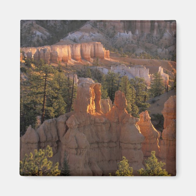 Imán NA, EE. UU., Utah, Parque Nacional Bryce Canyon 2 (Frente)