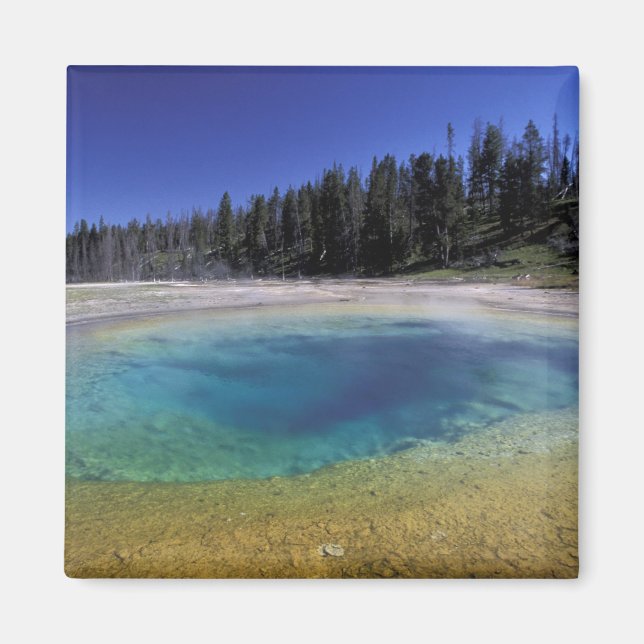Imán NA, EE.UU., Wyoming, Parque Nacional Yellowstone.  (Frente)