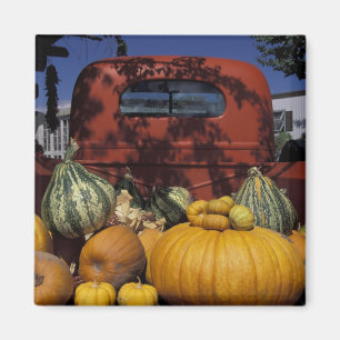 Imán NA, EEUU, Nuevo México, Taos. La posición de Chile