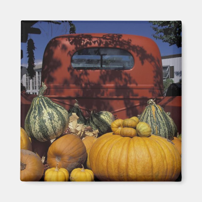 Imán NA, EEUU, Nuevo México, Taos. La posición de Chile (Frente)