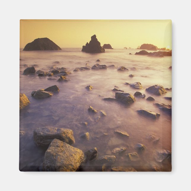 Imán NA, Estados Unidos, California, California del Nor (Frente)