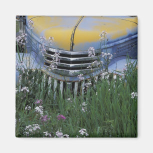 Imán NA, los E.E.U.U., Washington del este, camión