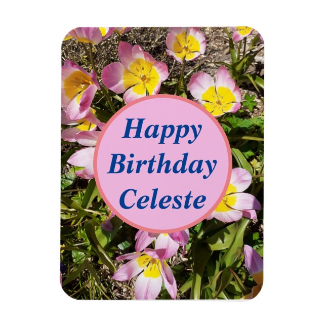 Imán Nacimiento de las flores rosadas y amarillas (Vertical)