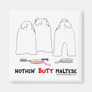 Imán Nada de maltés