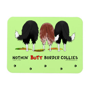 Imán Nada empalma borderes collies