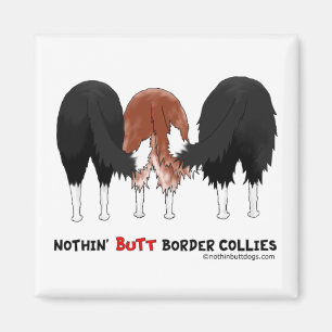 Imán Nada empalma borderes collies
